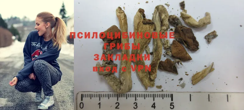 где можно купить наркотик  нарко площадка состав  Псилоцибиновые грибы MAGIC MUSHROOMS  Туринск 